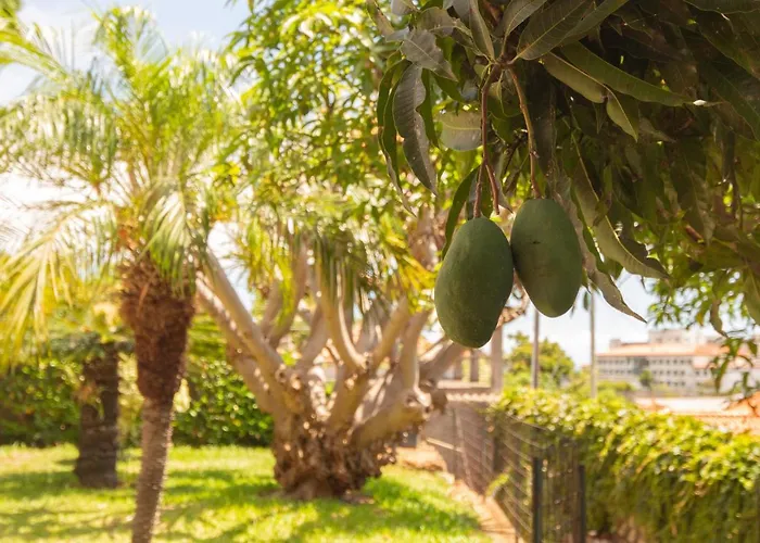 Feriehus Pilar House